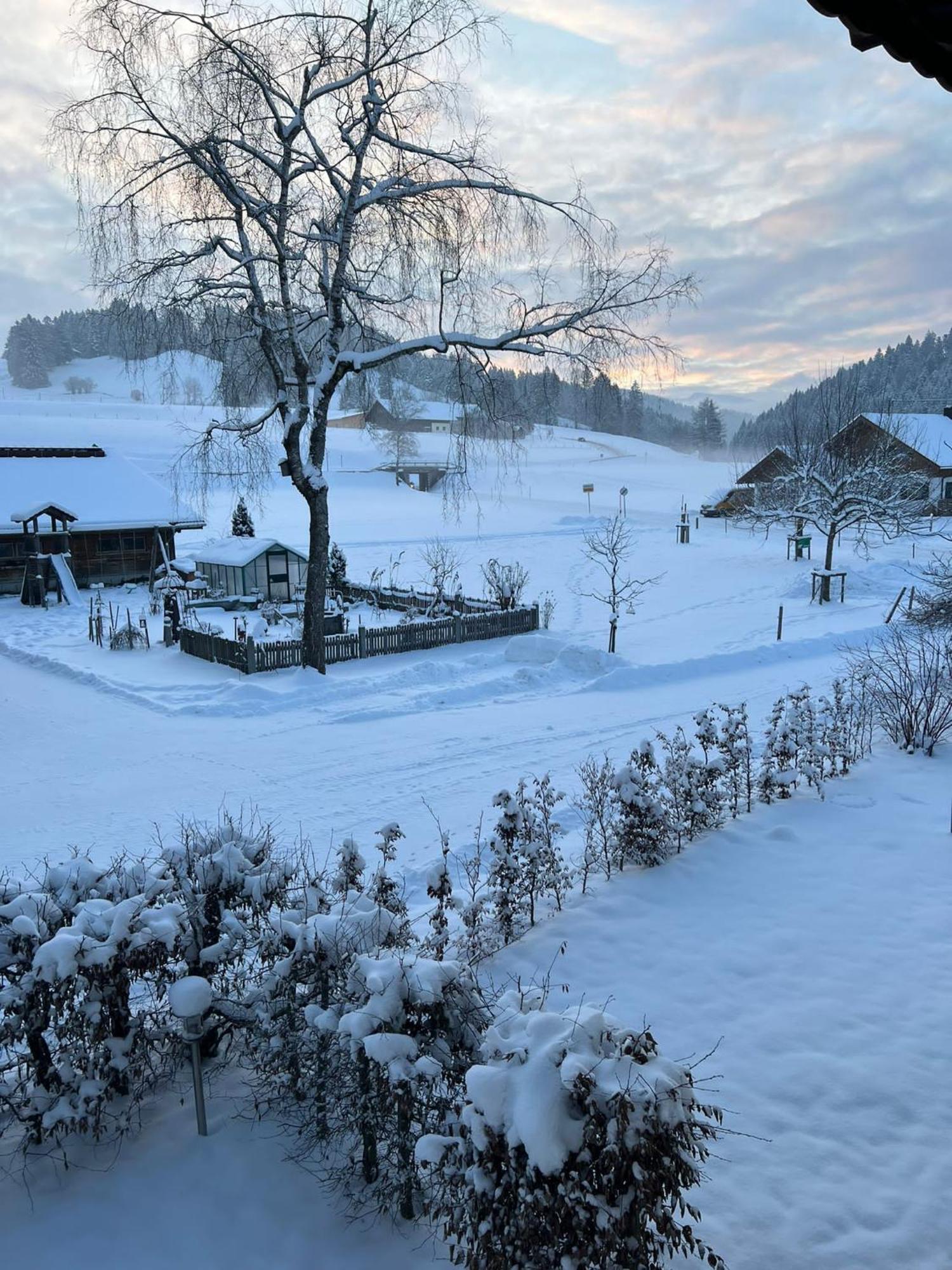 Ferienwohnungen Roessle Stiefenhofen エクステリア 写真